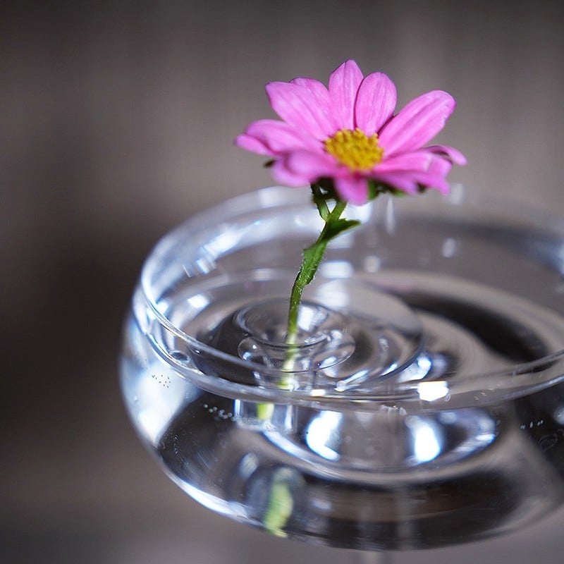 🏆Snabba rea⚡🌷2025 Kreativ flytande blomsterarrangemangshållare