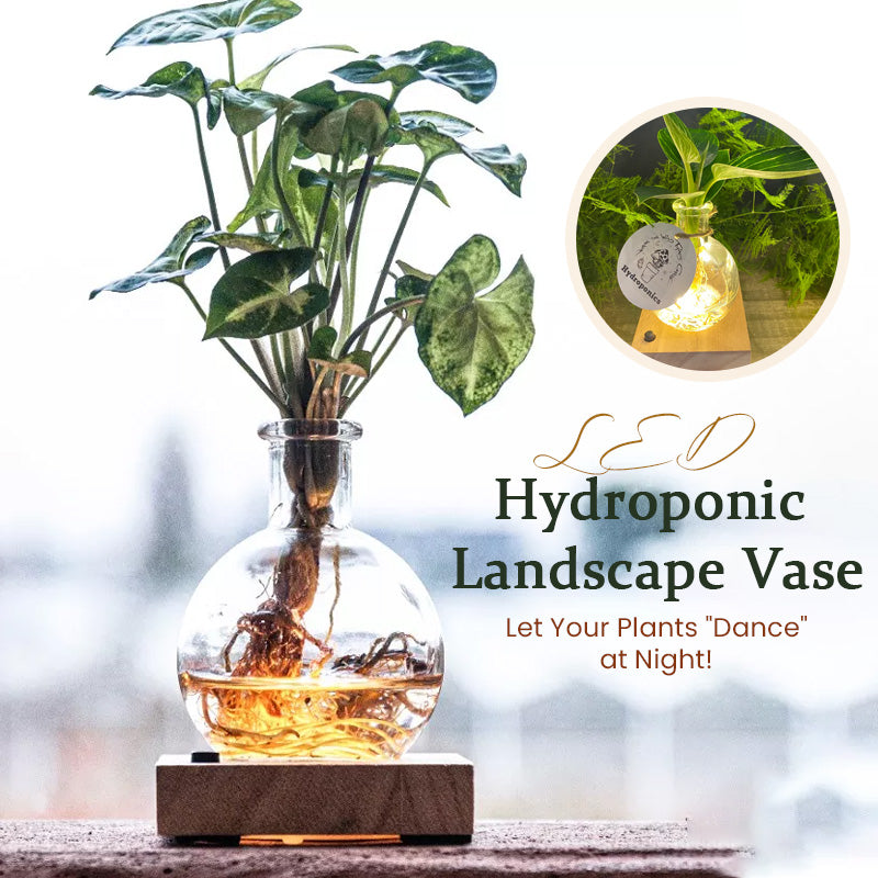 Vase hydroponique à LED (L'ensemble comprend 1 base LED + 1 vase)