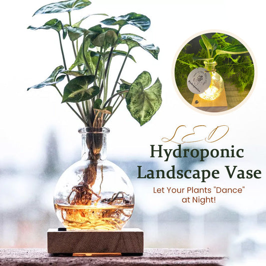 Vase hydroponique à LED (L'ensemble comprend 1 base LED + 1 vase)