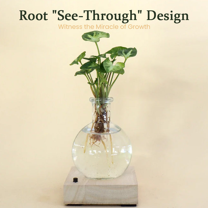 Vase hydroponique à LED (L'ensemble comprend 1 base LED + 1 vase)