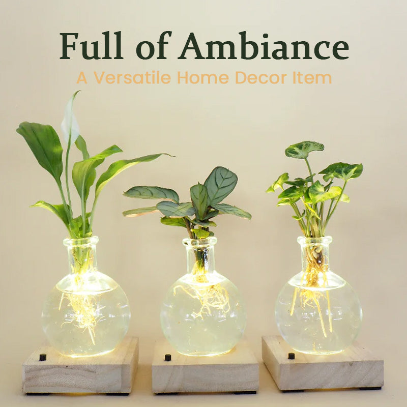 Vase hydroponique à LED (L'ensemble comprend 1 base LED + 1 vase)