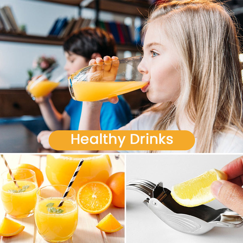 Fågeljuicepress