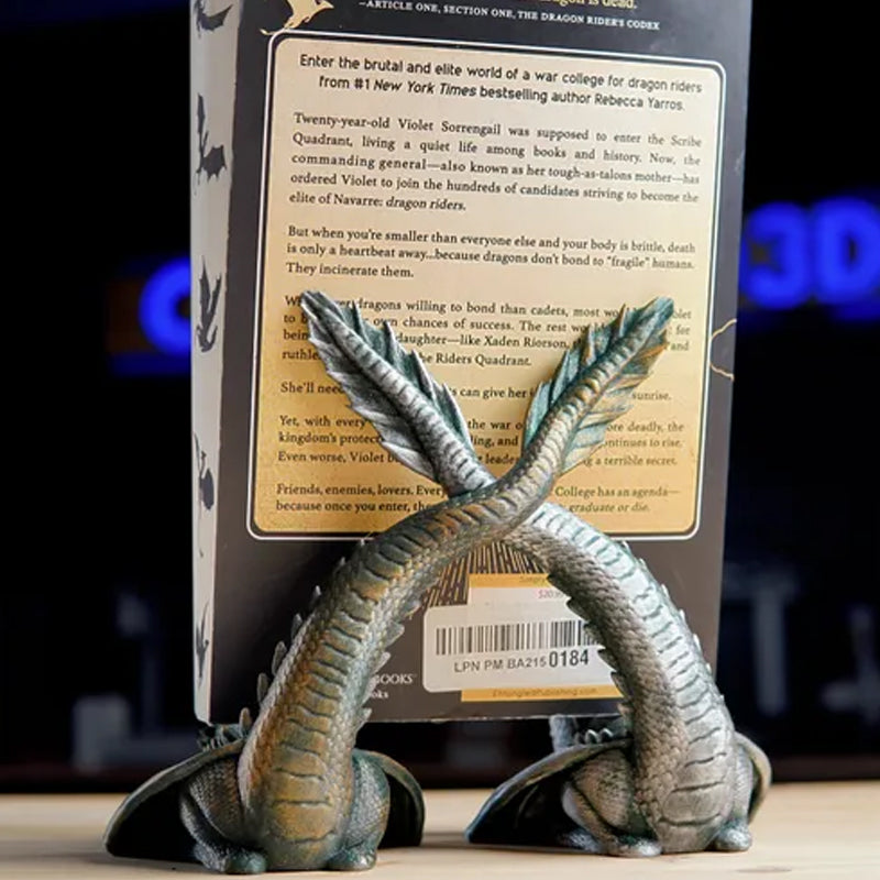 🐉✨Bibliothèque Dragon Flamme Jumelle