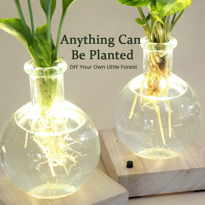 Vase hydroponique à LED (L'ensemble comprend 1 base LED + 1 vase)