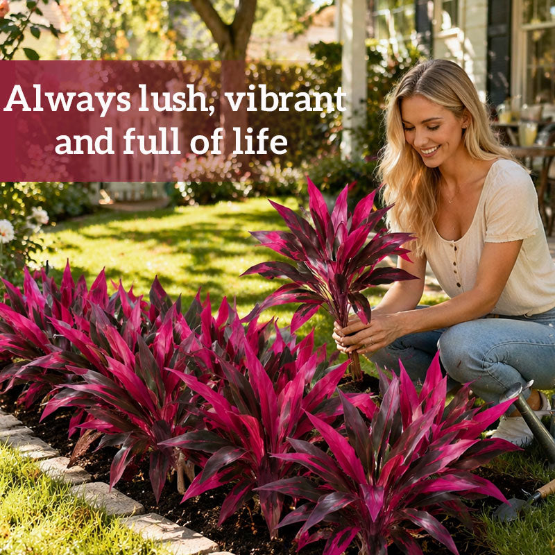Plante artificielle Cordyline
